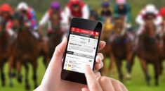 A Guide to Online Horse Betting