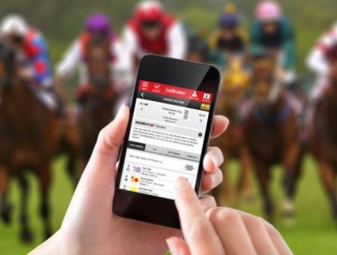 A Guide to Online Horse Betting