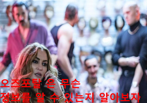 오즈포탈